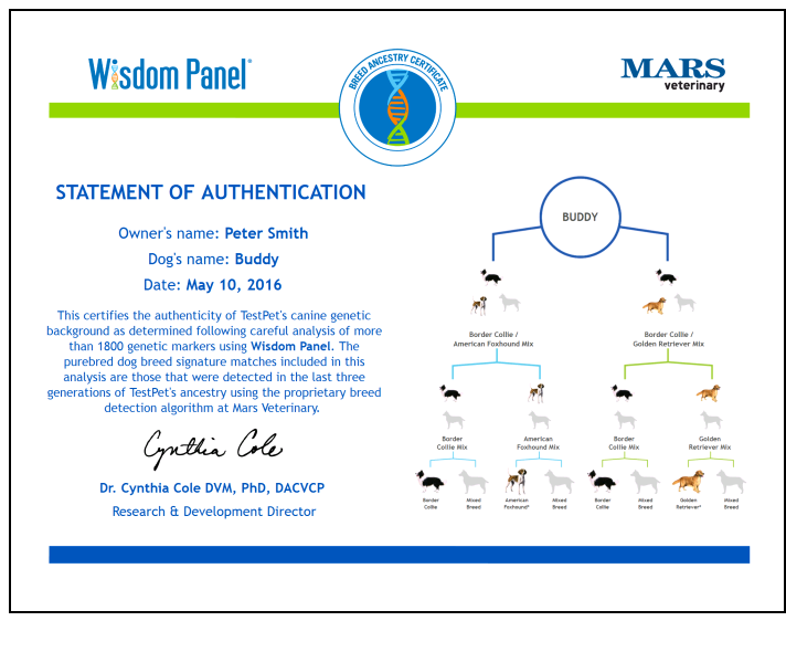 Wisdom Panel 4.0 Review Dog Test