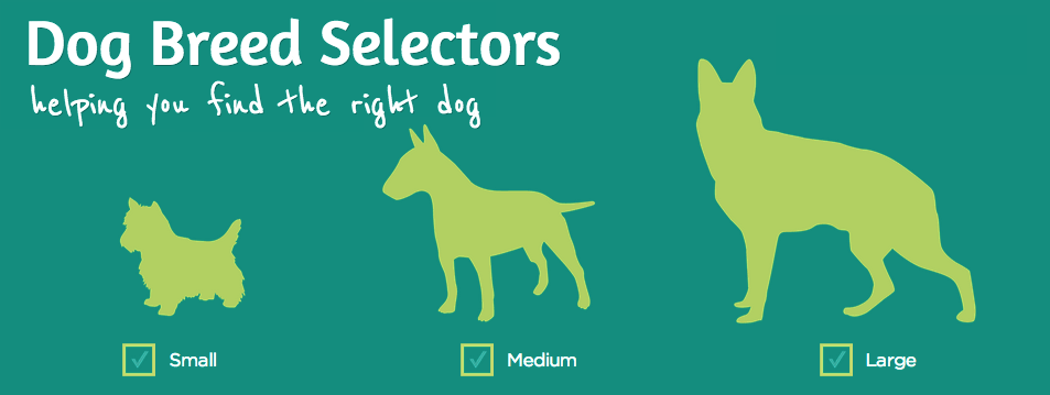 find the perfect dog breed