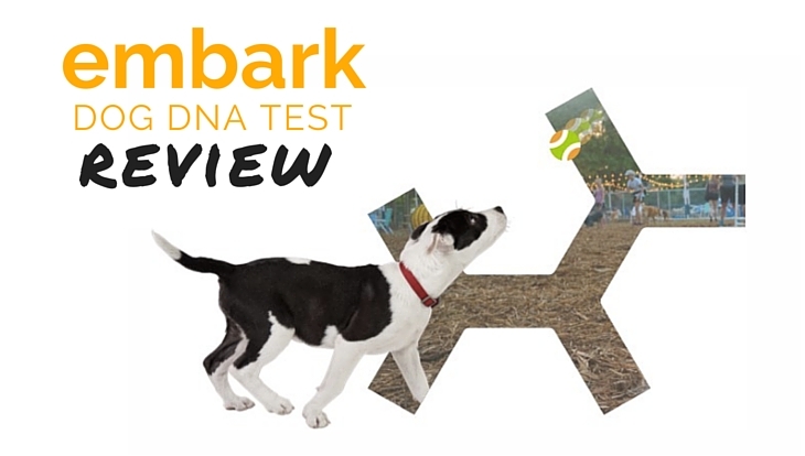 embark dog dna test